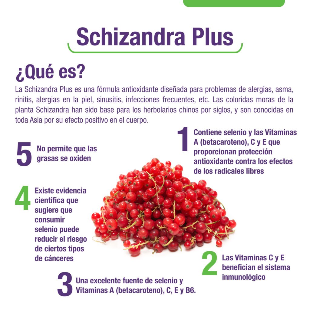 Schizandra