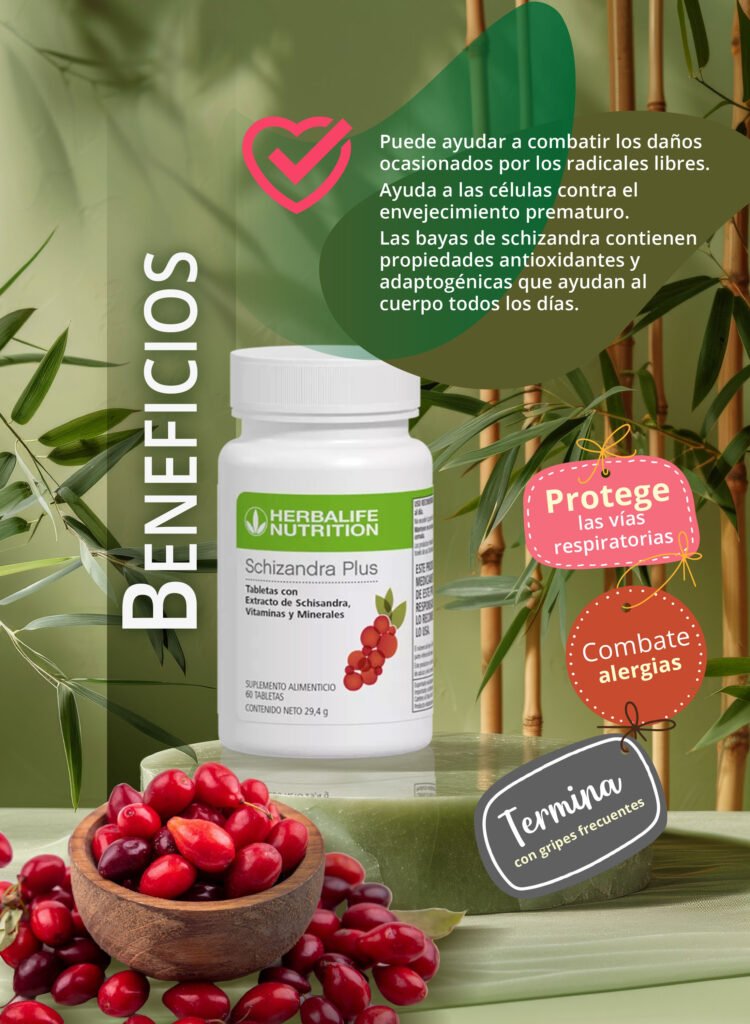 Schizandra_beneficios