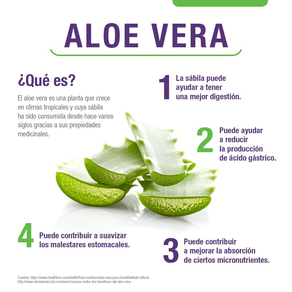 aloe_que es