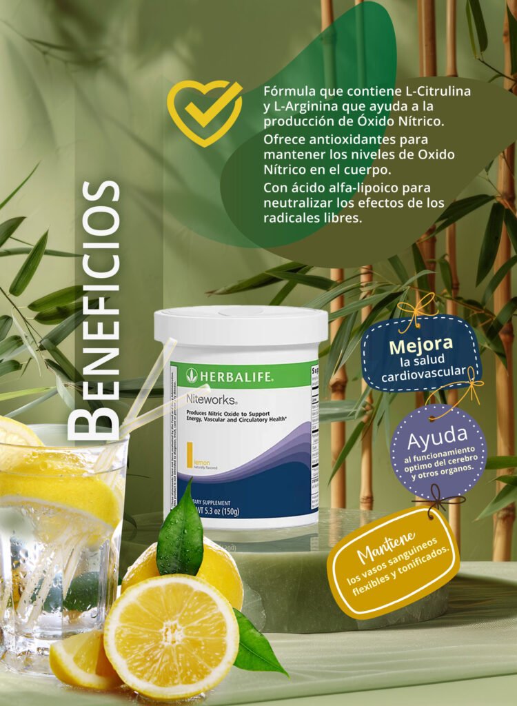 niteworkbeneficios01